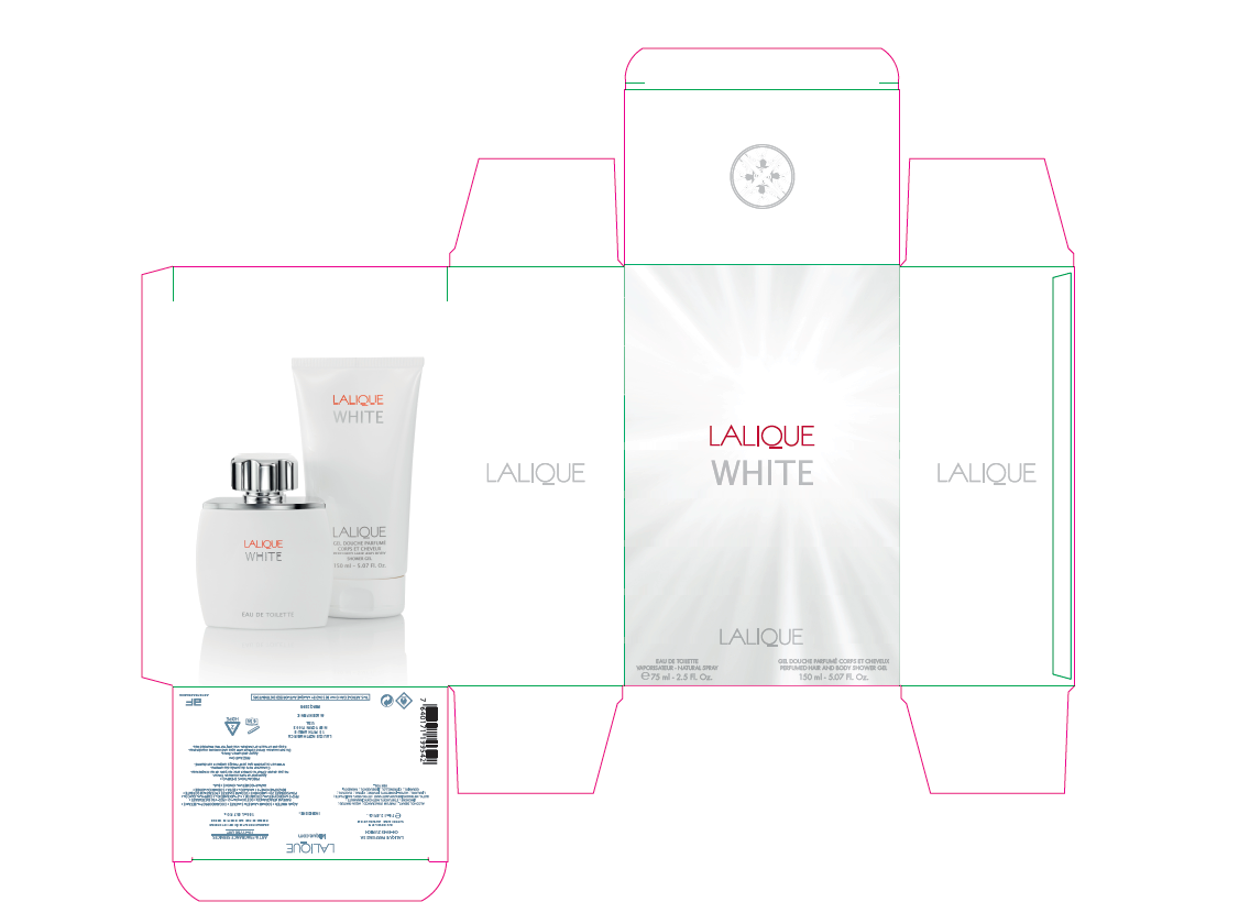 Capture d’écran 2024-05-27 114607